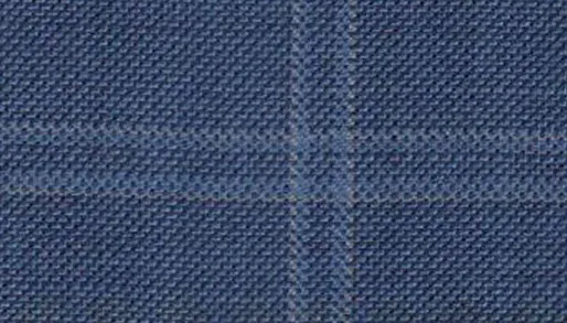 Blue & Gray Windowpane
