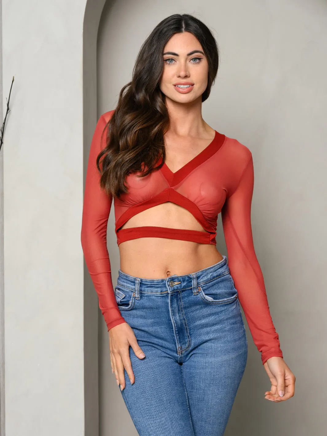 WOMEN'S LONG SLEEVE V-NECK MESH CROP TOP